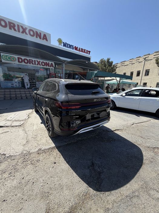 Byd chempion  sotialdi