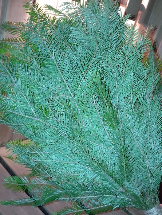 Парение/пилинг/скрабирование