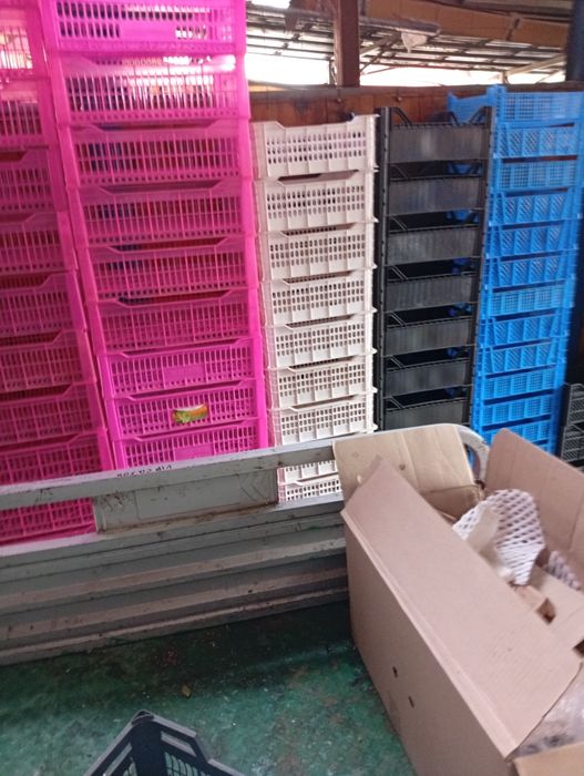 Продам ящики пластиковые