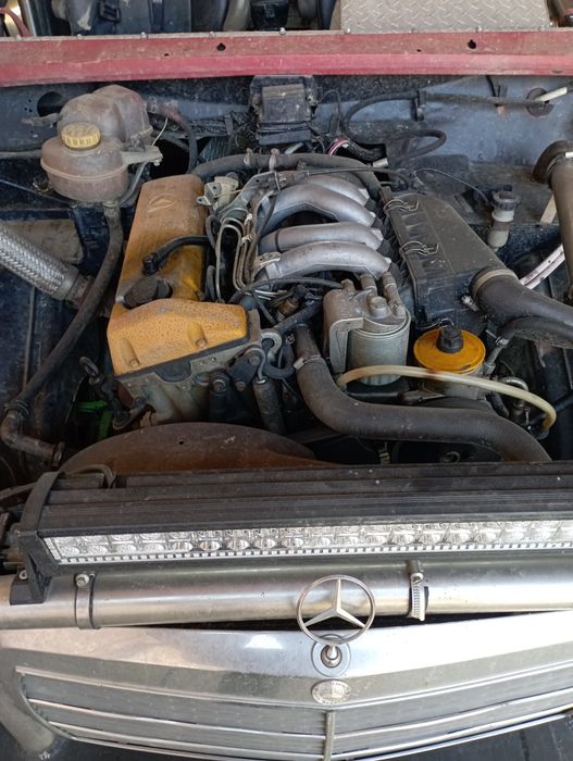 Buggy custom off road