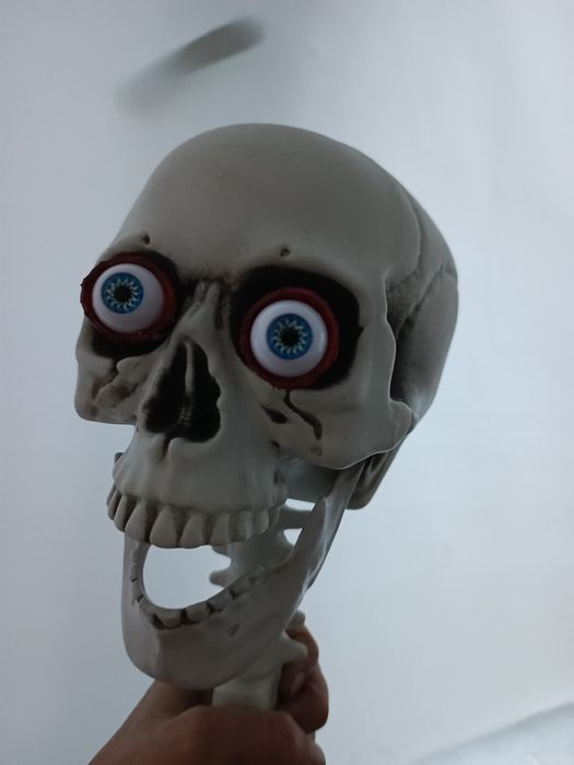 Скелет череп человека 90см.