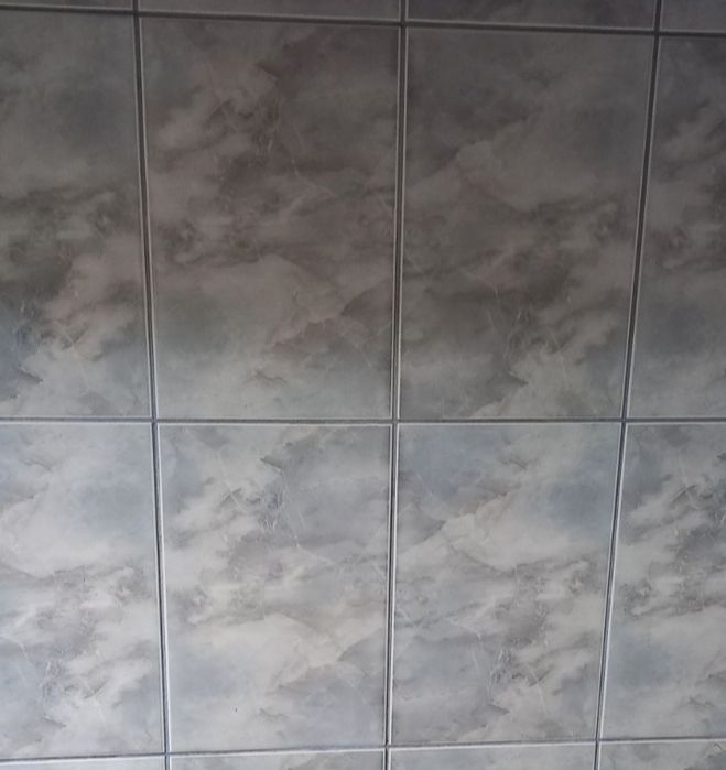 Faianță Fortuna  model mai vechi