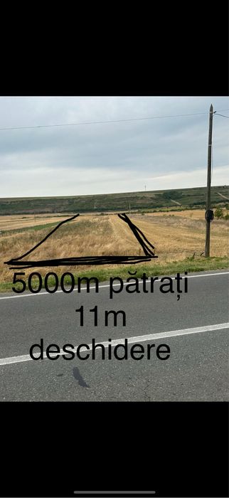 De vanzare 5.000m patrati