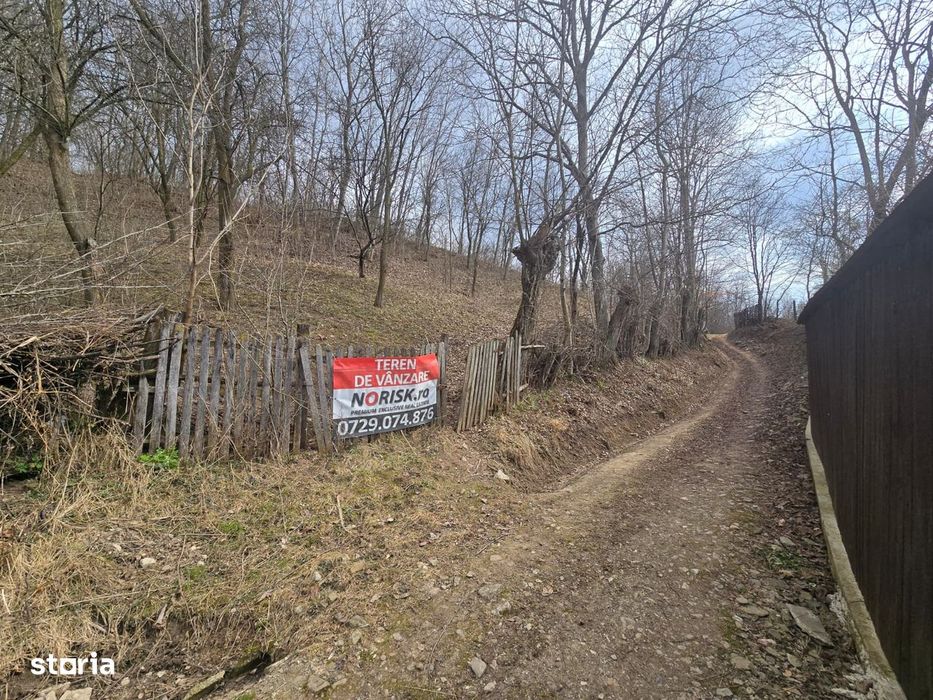 Oportunitate investitie teren  – Cerasu, Prahova | 3.485 mp | View s
