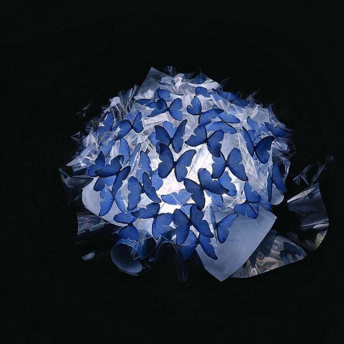 Букет из бабочек недорого