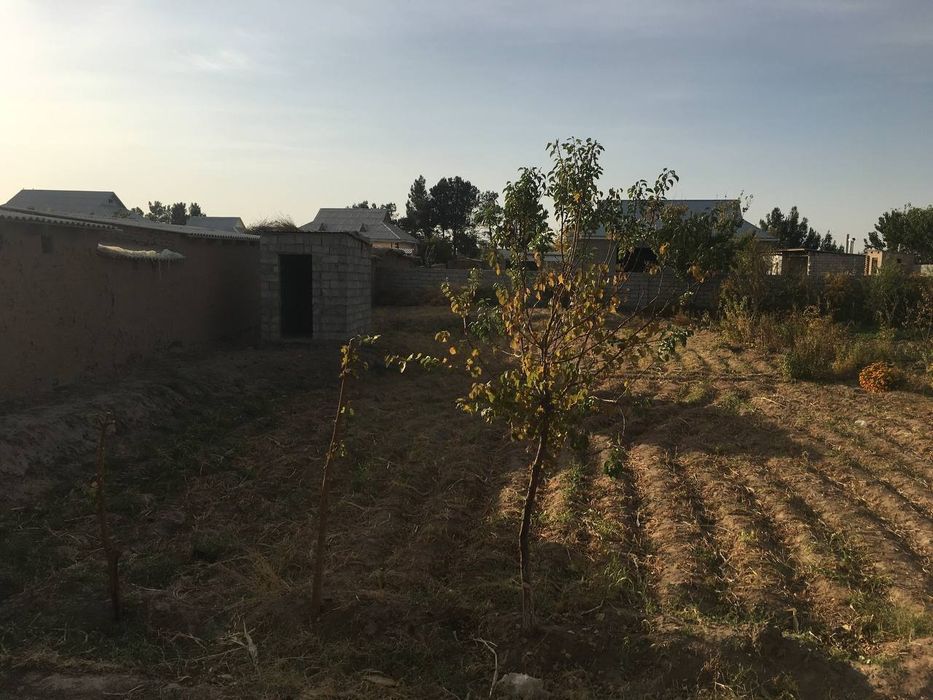 Термиз туман халкабод