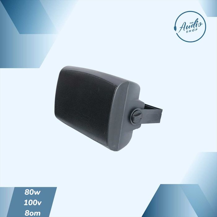 Пассивная настенная колонкa для фоновой музыки 80wat