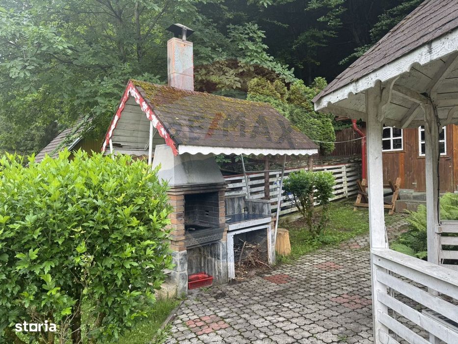 Cabana autentica de munte Frasinet - Baisoara 600 mp teren