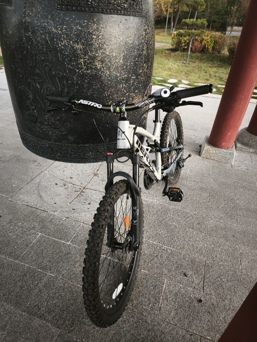 IIEREC xt300 Двухподвес