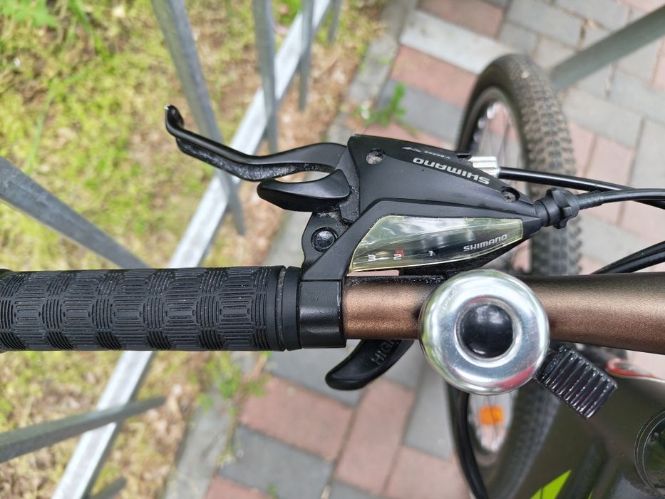 Bicicleta Copii Pegas Drumet 20