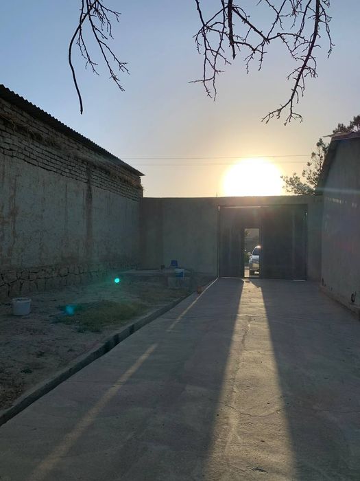 G‘uzor tumanidan kotej sotiladi