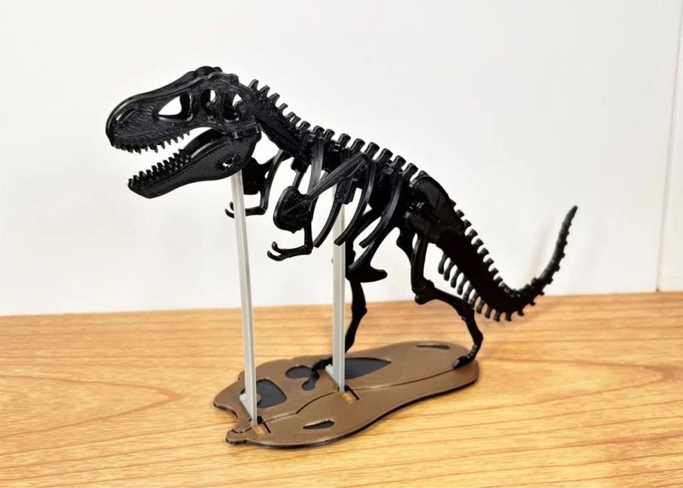 Парк скелетов диназавров