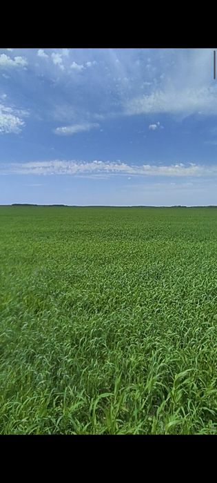 Продам Пашню 427 га