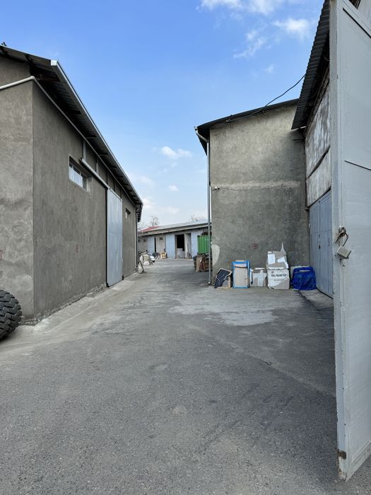 Тайёр бизнес арендаторлари билан бирга сотилади