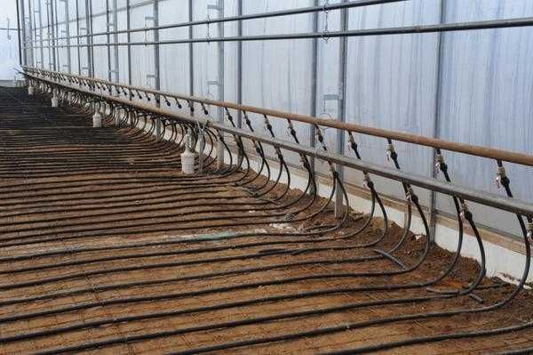 Отопление Теплиц Тепловыми Насосами