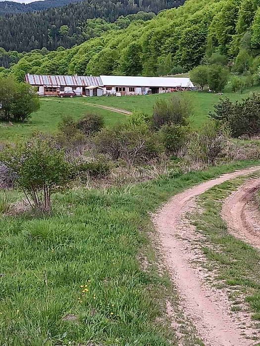 Продава се Къща в Рила - 400 кв.м за 900 €/кв.м - Снимка #9