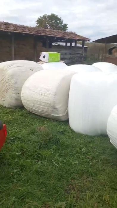 Baloti de lucerna infoliati coasa 4