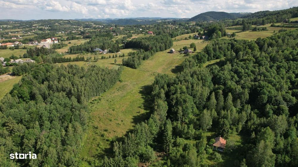 Exclusivitate | Teren de vanzare, 38.781 mp in Rasca
