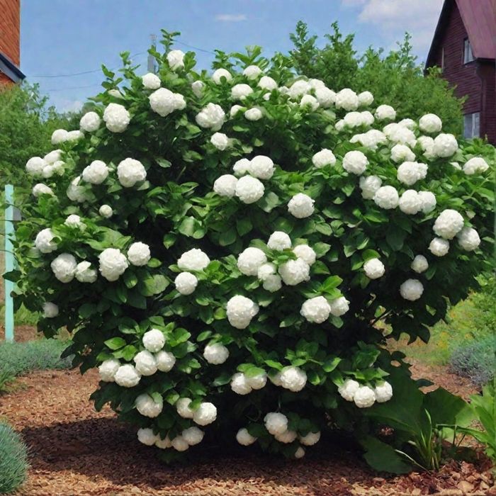 Ландшафт дизайн хизмати