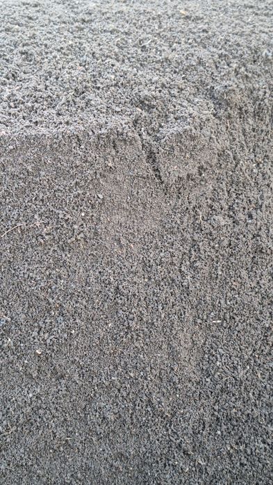 Biyagomis toza elangan