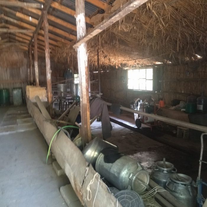 Дом молочная ферма