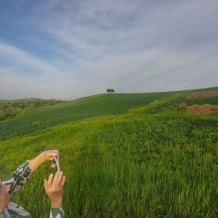 Продаётся земелный участок 1 га (100 соток)