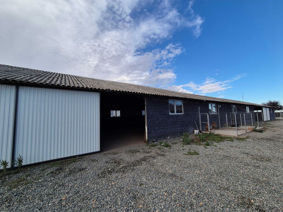 OCAZIE Inchiriez HALA depozitare Arad langaVGP-OMV centuraS autostrada