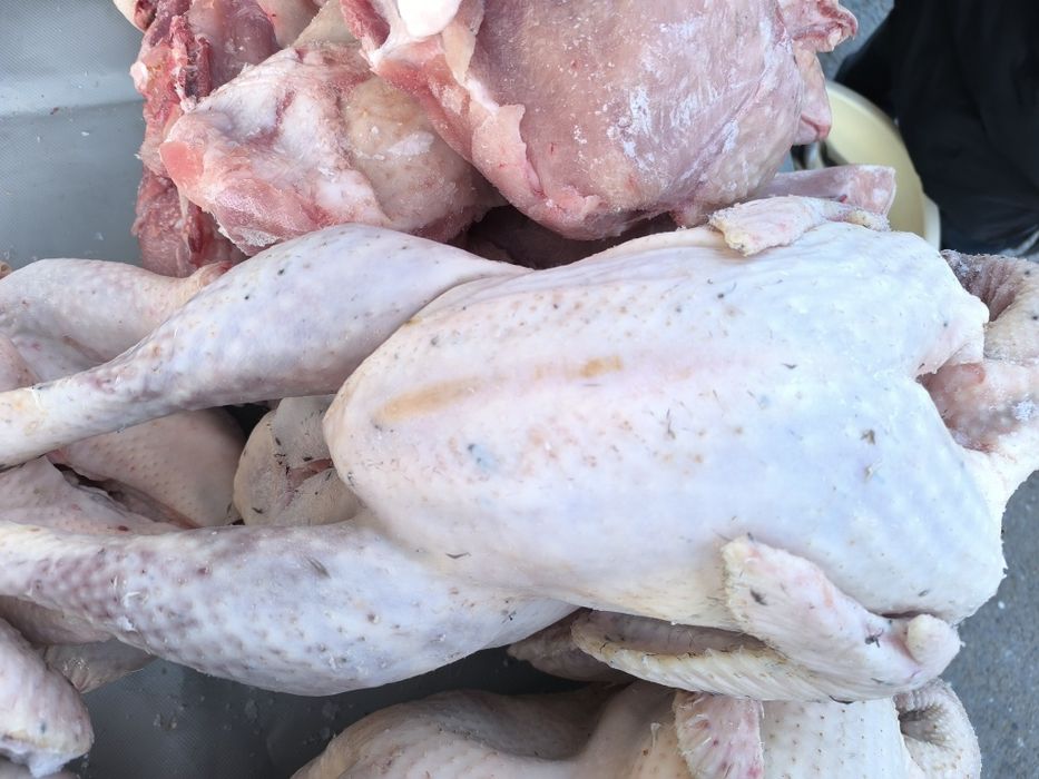 Индюк еті, домашний колда бағылған