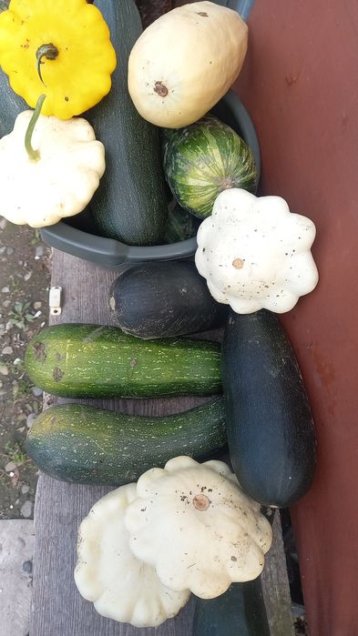 Продам дачу (зимний вариант)