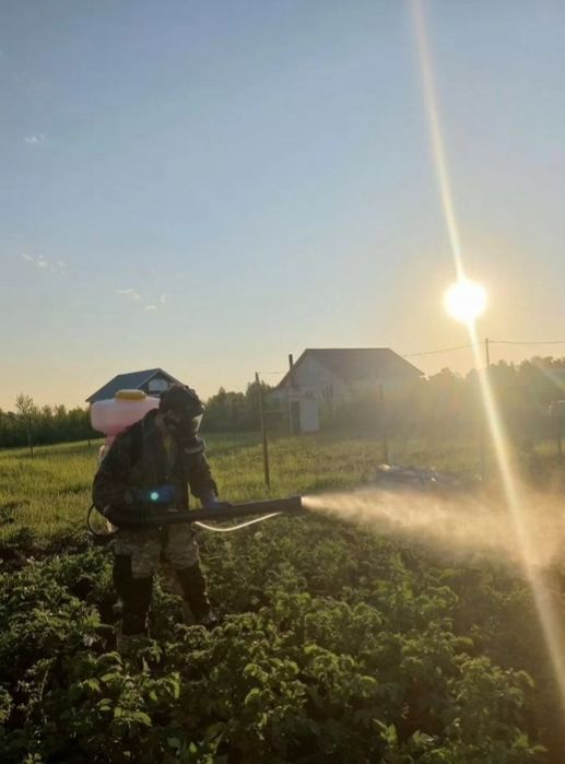 Хашоратларга карши кураш богбонлар фермерлар учун