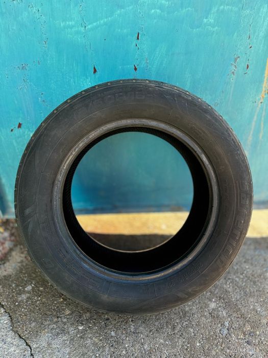 Балон летни рзмер бірди