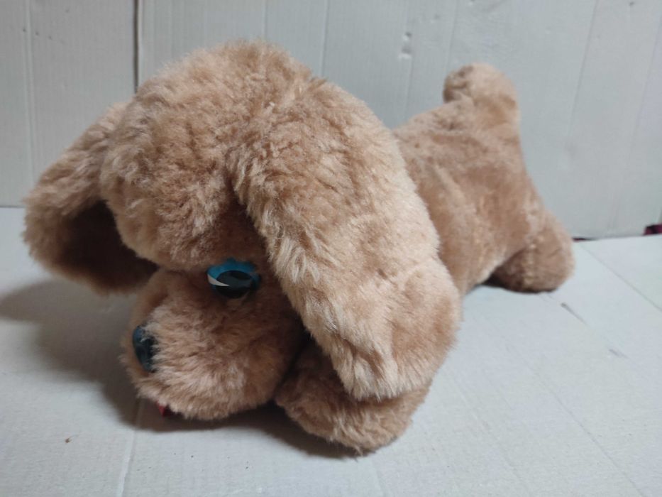 Catel din plus, culoare maro, SH dar stare buna.