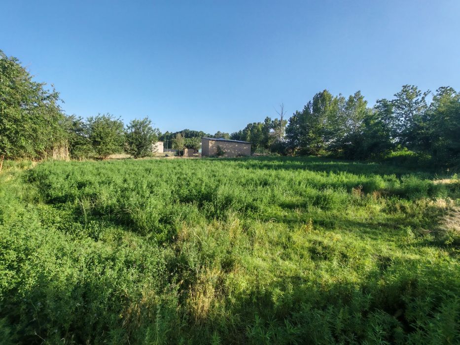 Xotinim bilan birinchi suzish tajribasi