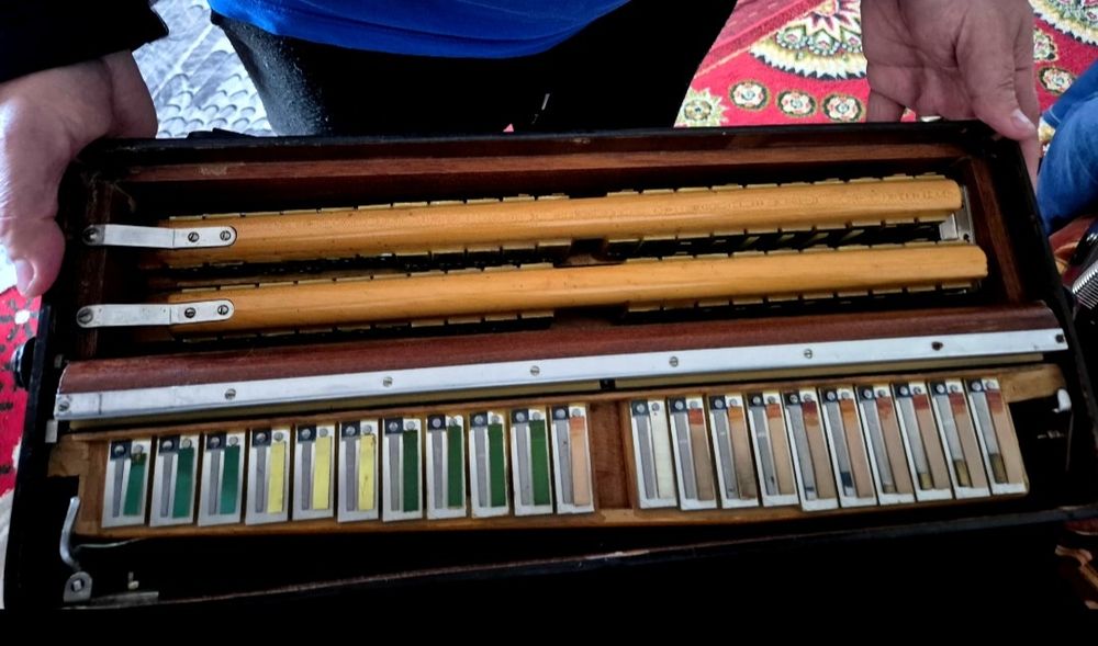 Acordeon Weltmeister Supita Seria 11000 Midi