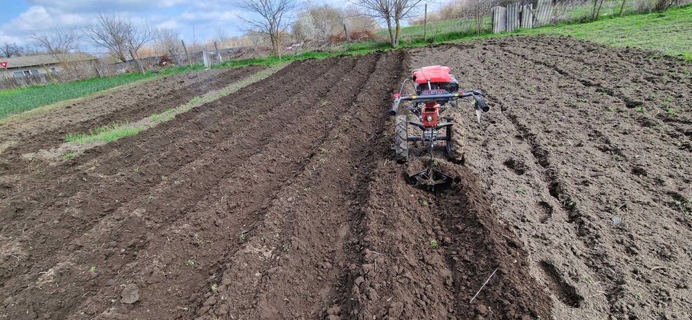 inchiriez scule - motosapa, compactor, tocatoare crengi, etc
