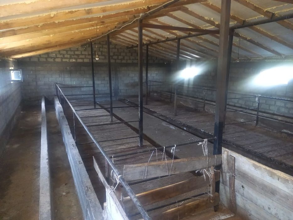 Крестьянское хозяйство