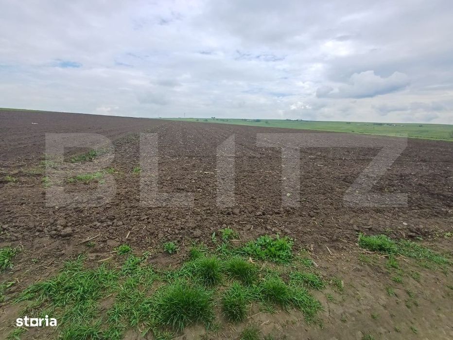 Teren de vanzare intravilan, 33 ari, Cumparatura
