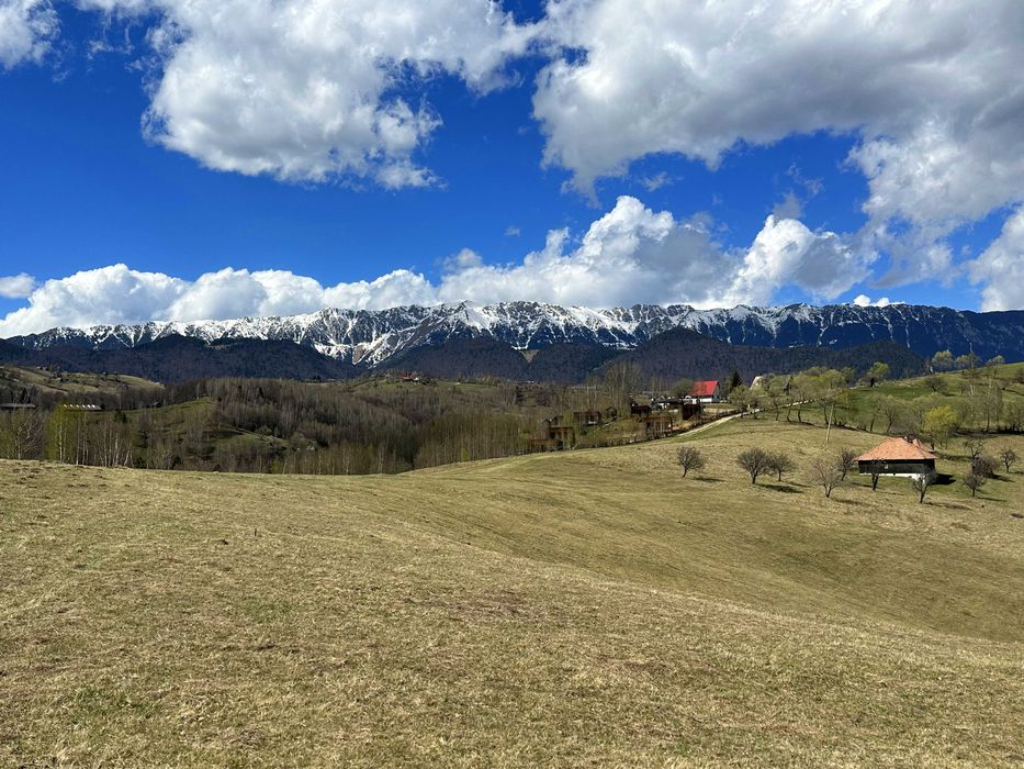 Teren Pestera 1550 mp, aproape de  Bran Moieciu