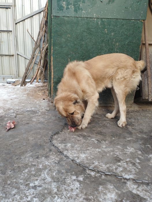 Открыт для вязок.