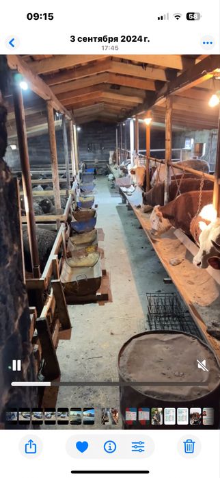 Продам откорм базу