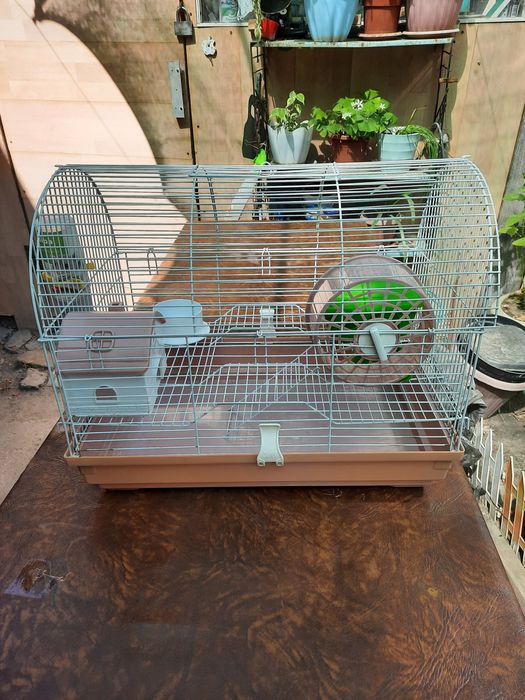 Продам клетку для хомяков не дорого