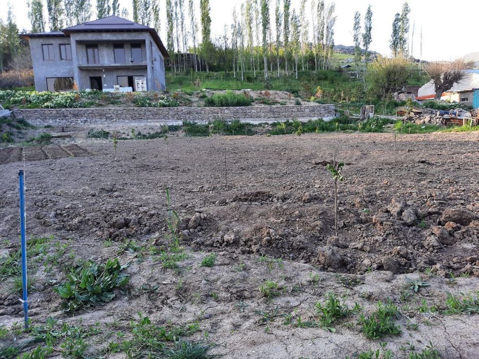 Продаётся Евро Дача 50 соток на Таваксае