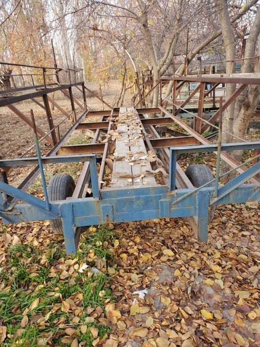 Asalari prisepi sotiladi