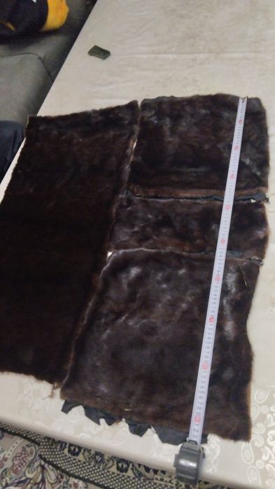 Norka popok uchun deri sotilodi