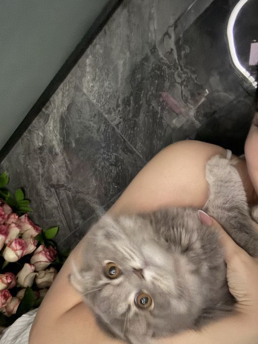 вязкага аёл мушук керак