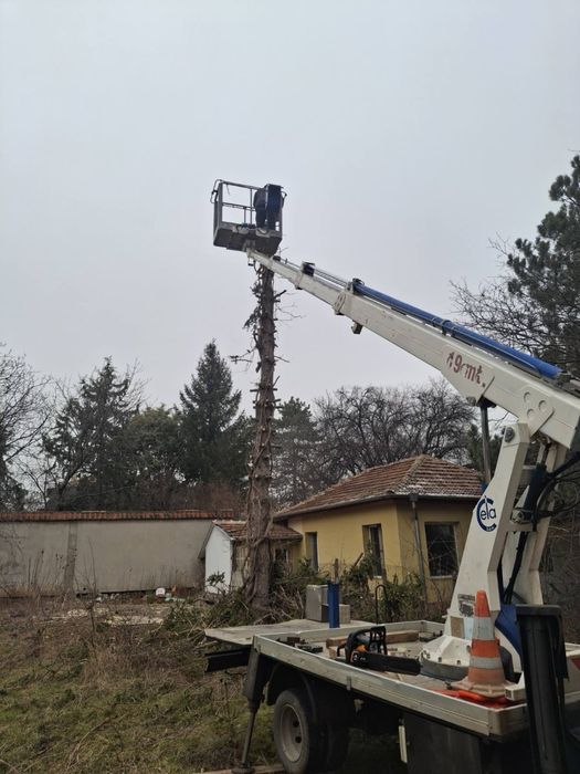 Услуги с автовишка , рязане на дървета , улици , обшивки , реклами,