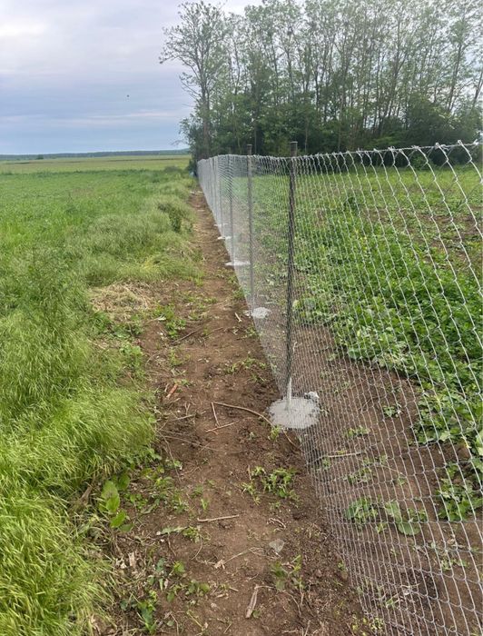 Vand teren intravilan Chiselet Calarasi