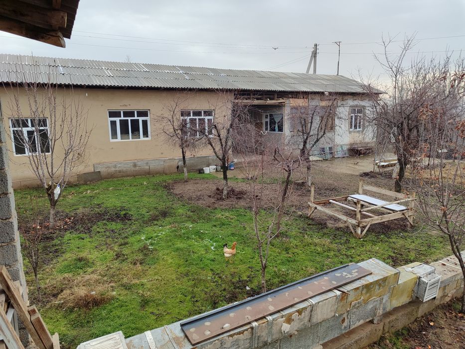 Chinoz tumani Isloxot MFY da xovli sotiladi.Narxi kelishiladi