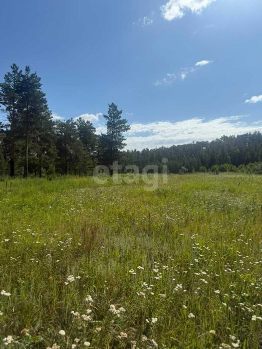 Продам зем. участок в сосновом бору