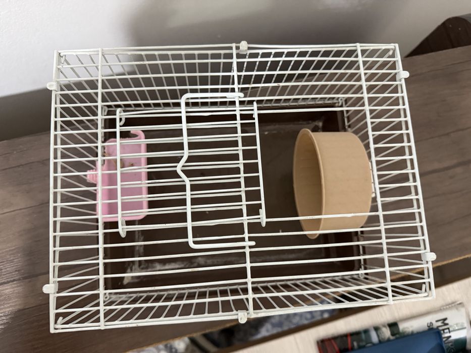 Hamster xamyak uchun qafas sotiladi